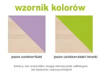 Kolekcja mebli dziecięcych CODI - wzornik kolorów