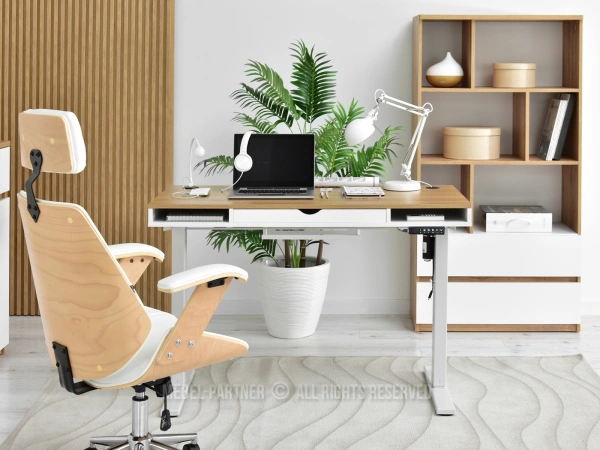 Regulowane biurko - dopasuj swoją przestrzeń pracy do własnych potrzeb!