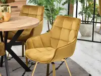 Krzesło obrotowe glamour ZŁOTY welur - ZŁOTE nogi - wygodne siedzisko