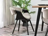 Czarne krzesło gięte BENT tapicerowane beżowym welurem - krzesła gięte drewniane