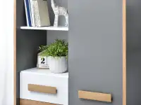 Szafa SMART S3 z półkami szufladami i szafkami zamkniętymi - wyjątkowa kolorystyka