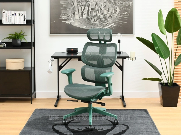 Fotel ergonomiczny do komputera - idealne wsparcie dla kręgosłupa
